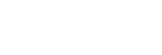 Kalashnikov KS-12T Tactical Shotgun